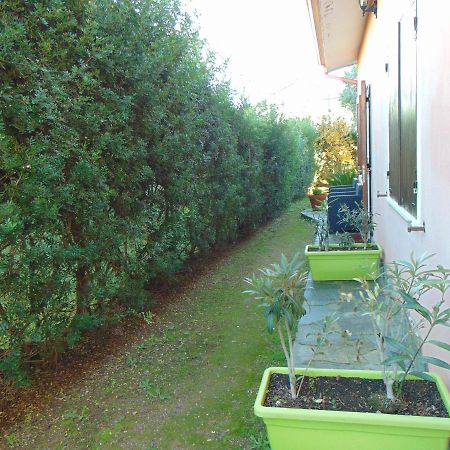 Bed and Breakfast La Contea Сант'Анна-Аррези Экстерьер фото